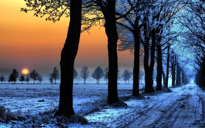 Frosty Trees on Road