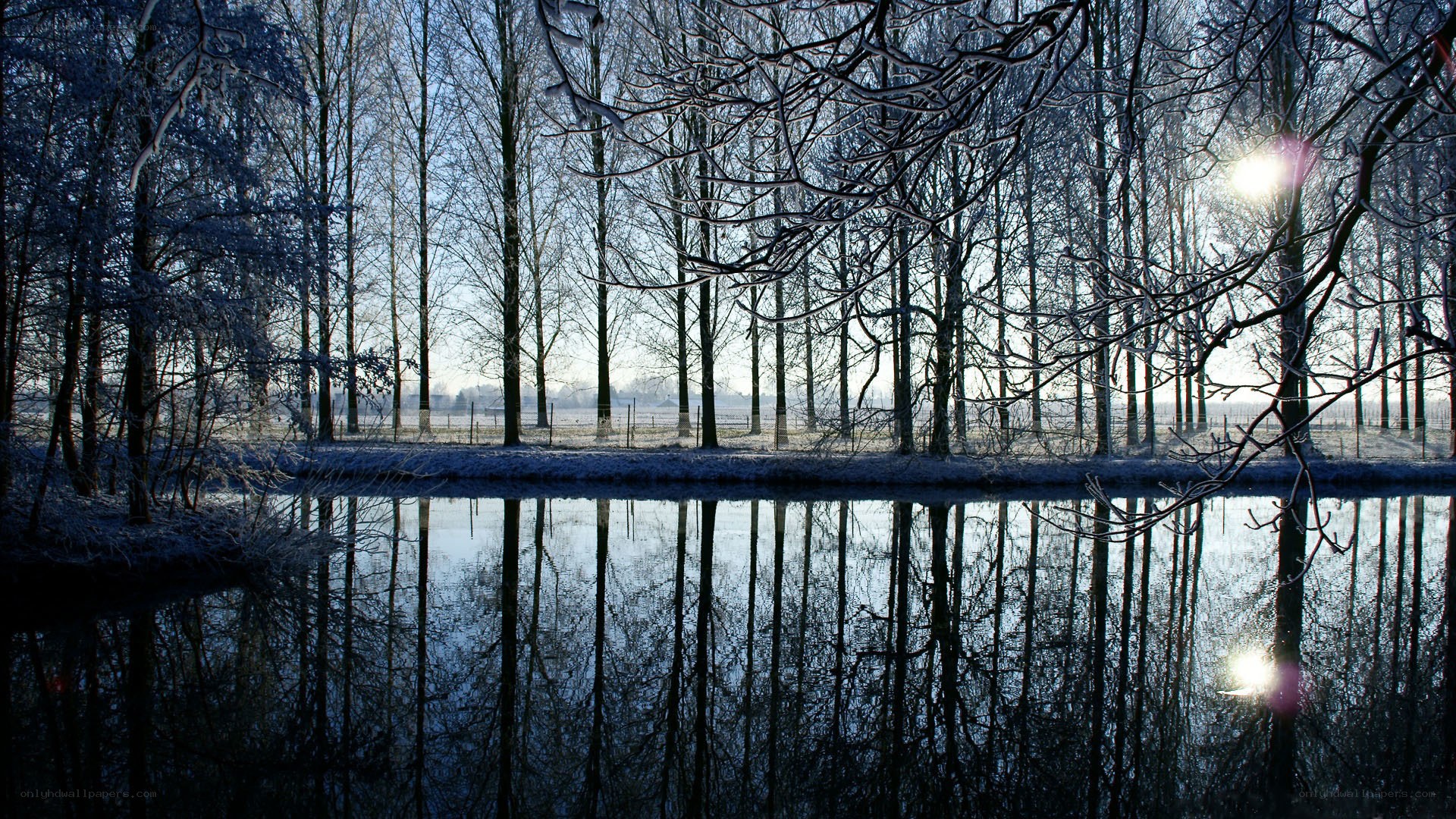 Frosty trees reflected in a canal