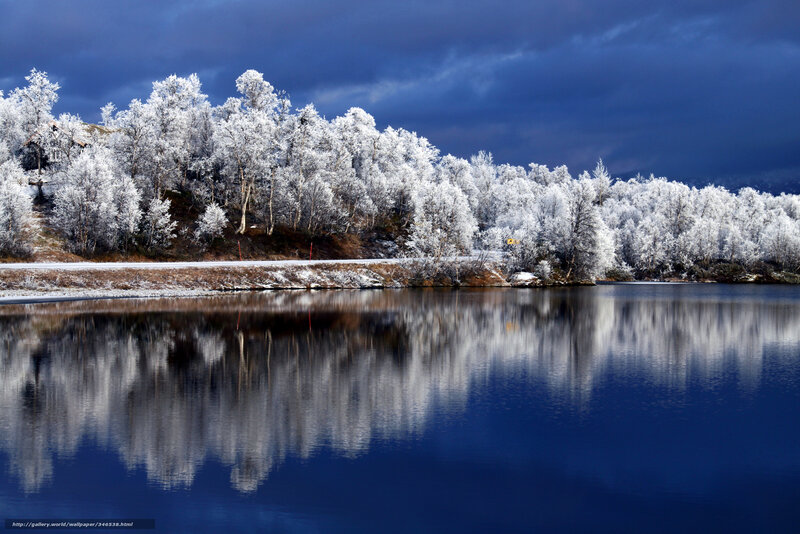 Frosty trees reflected in a lake