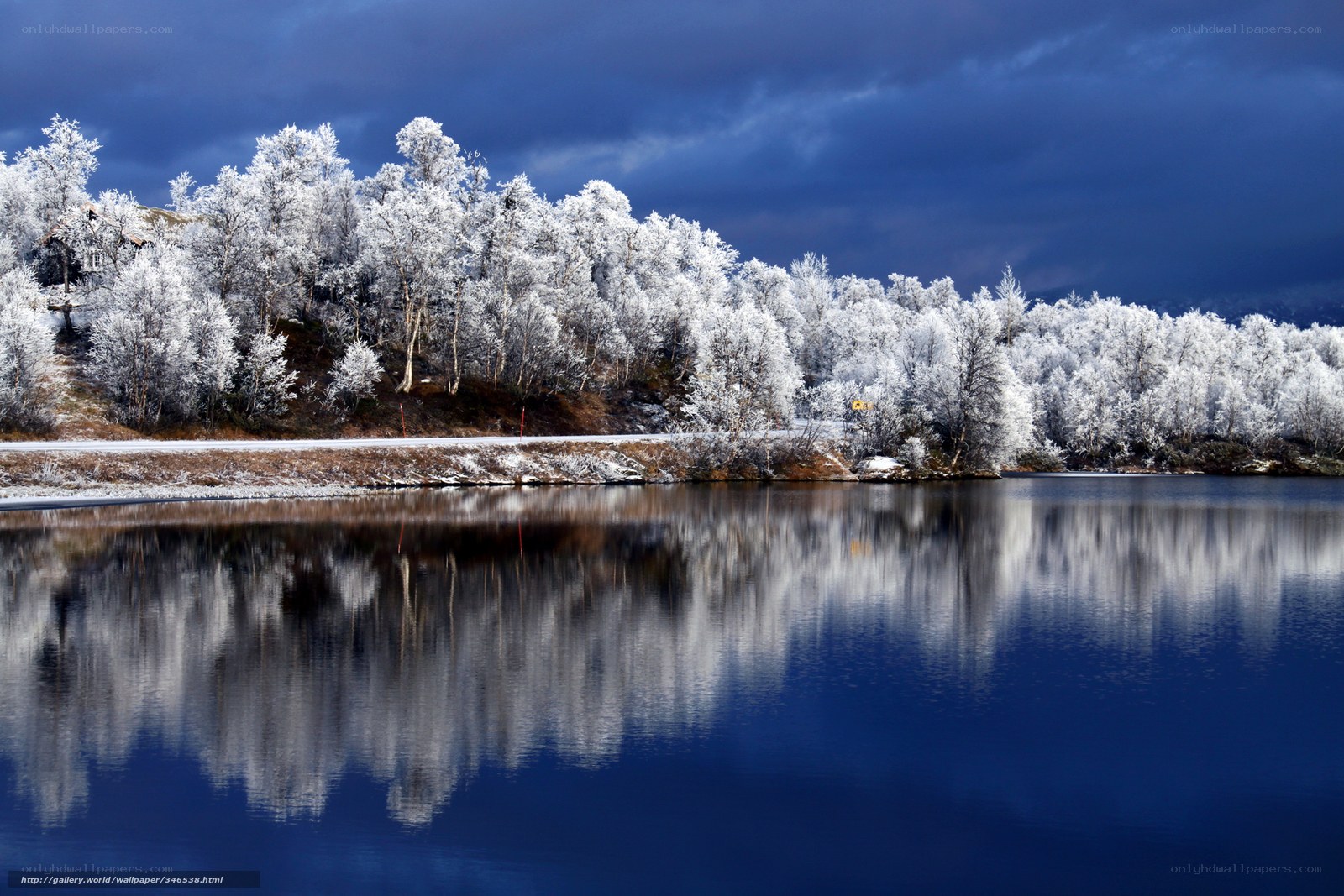 Frosty trees reflected in a lake