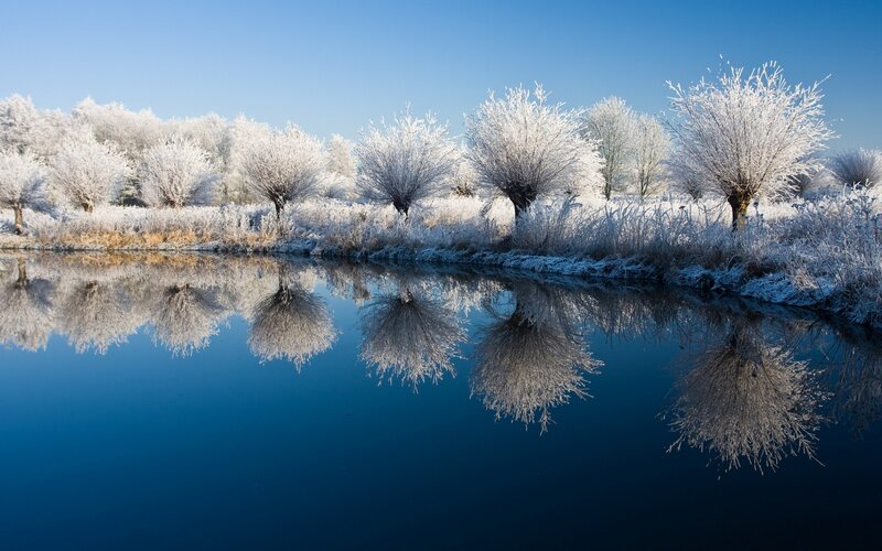 Frosty trees reflected in a river