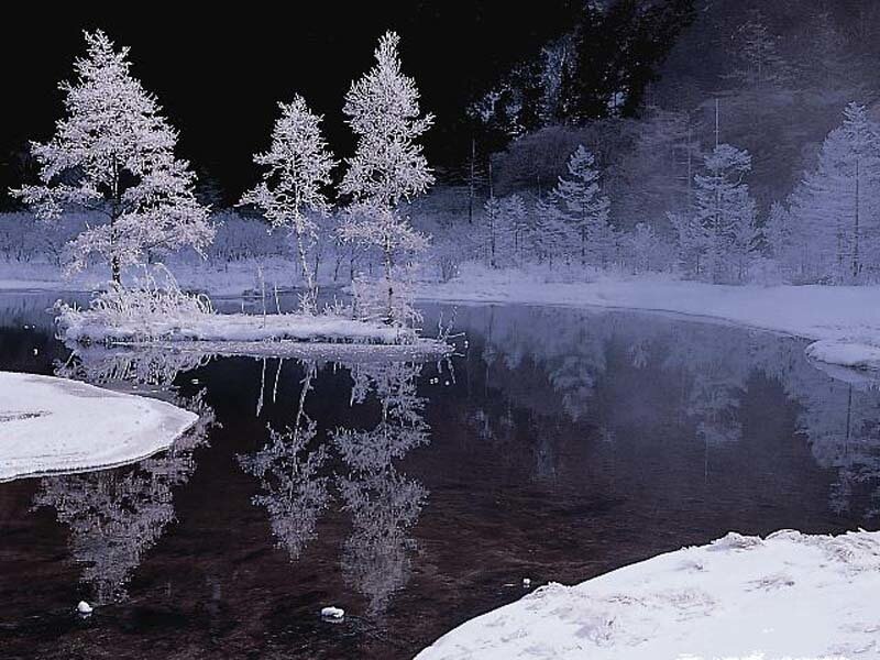 frosty trees reflected in river
