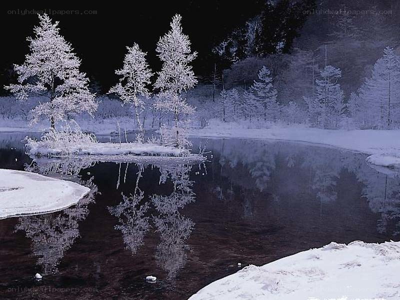 frosty trees reflected in river