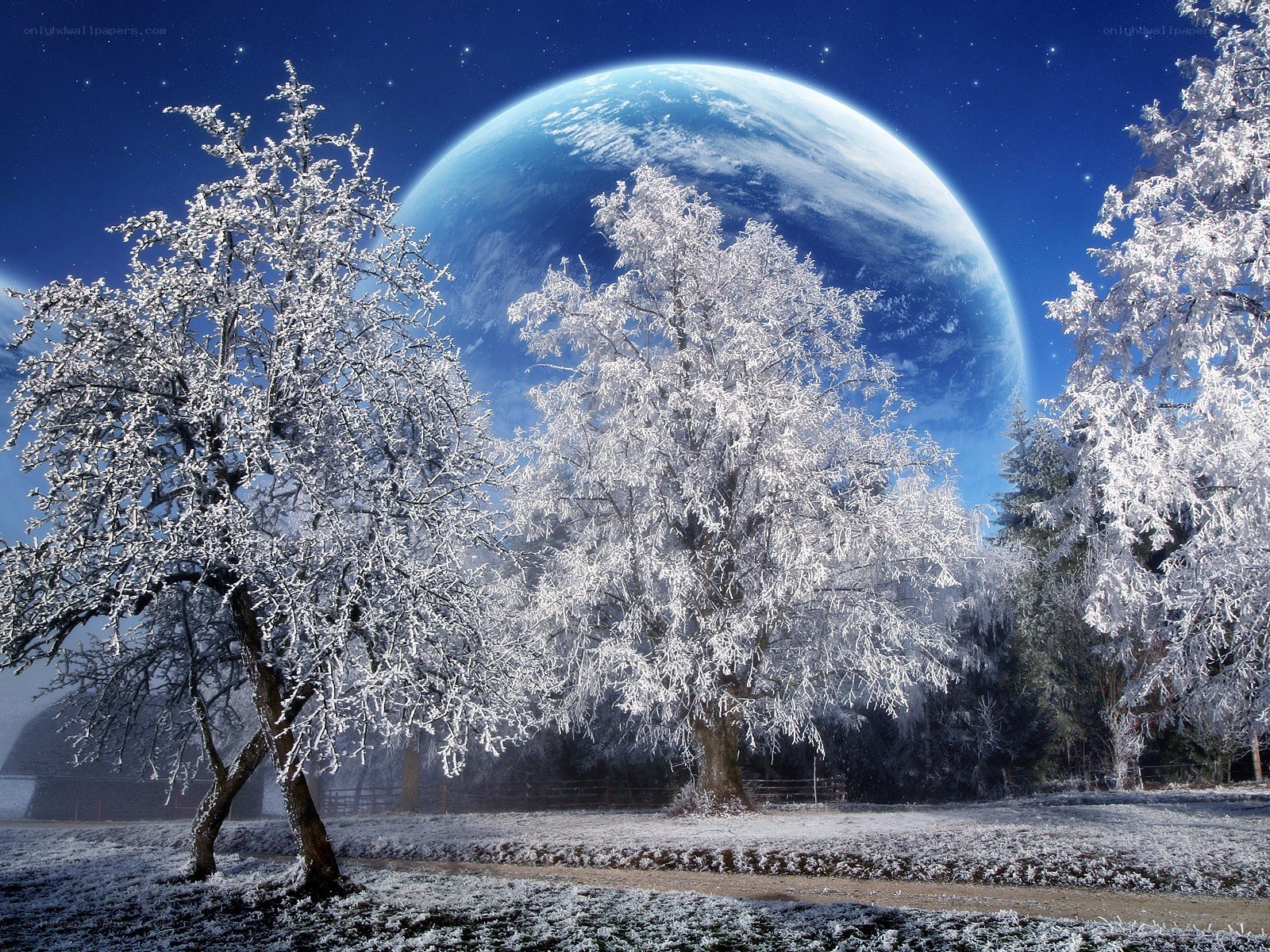 Frosty trees under a giant planet