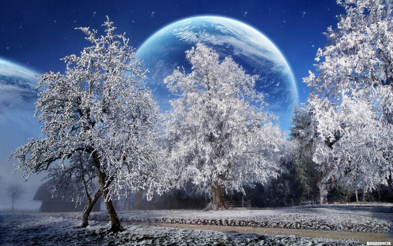 Frosty trees under alien planet