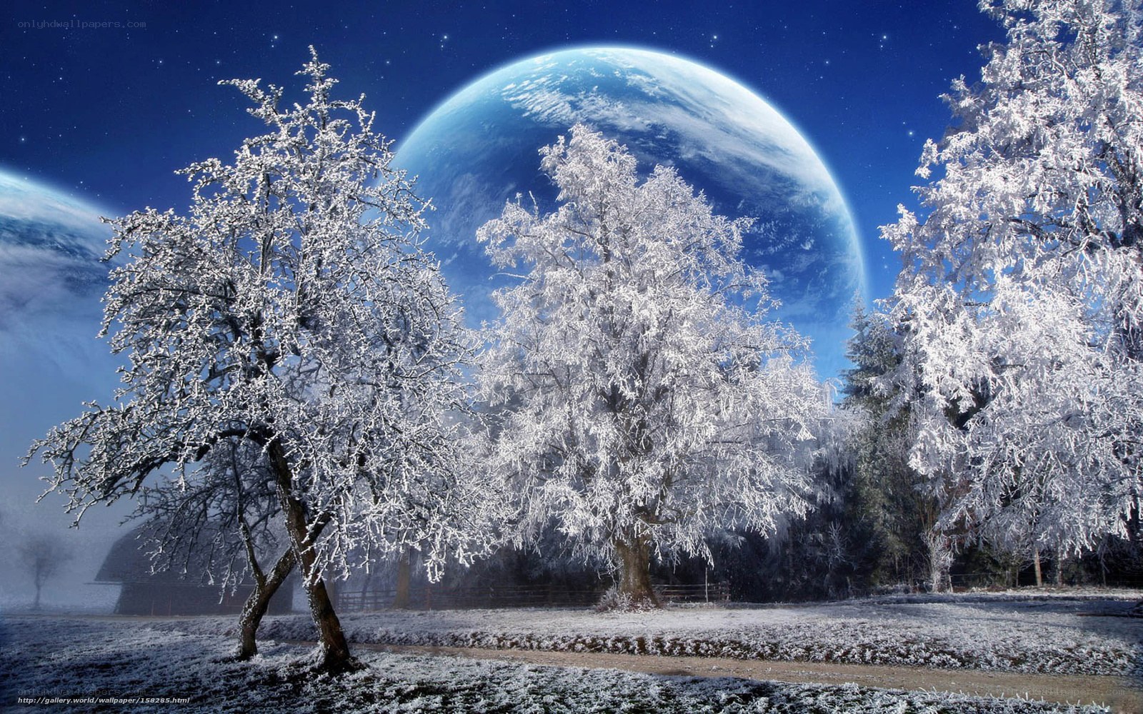 Frosty trees under alien planet