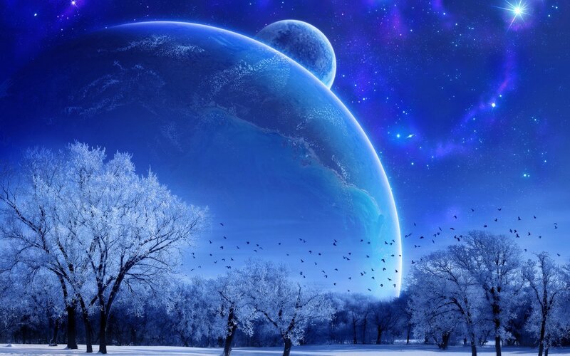 Frosty Trees under Alien Sky