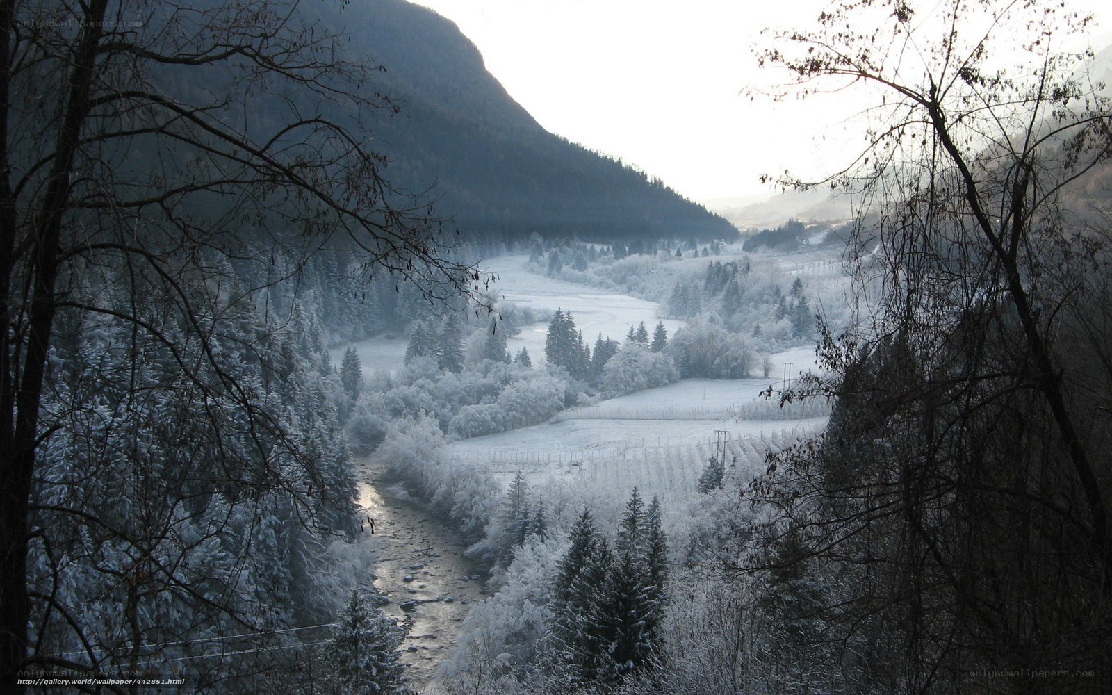 frosty valley landscape