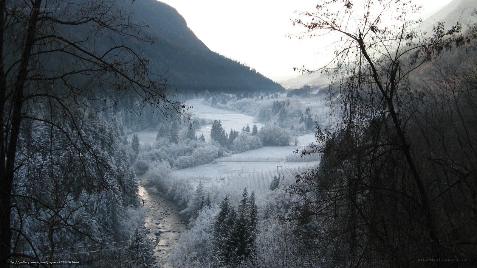 frosty valley landscape