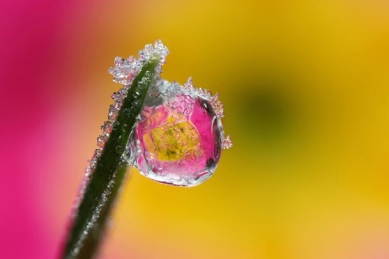 Frosty Water Droplet