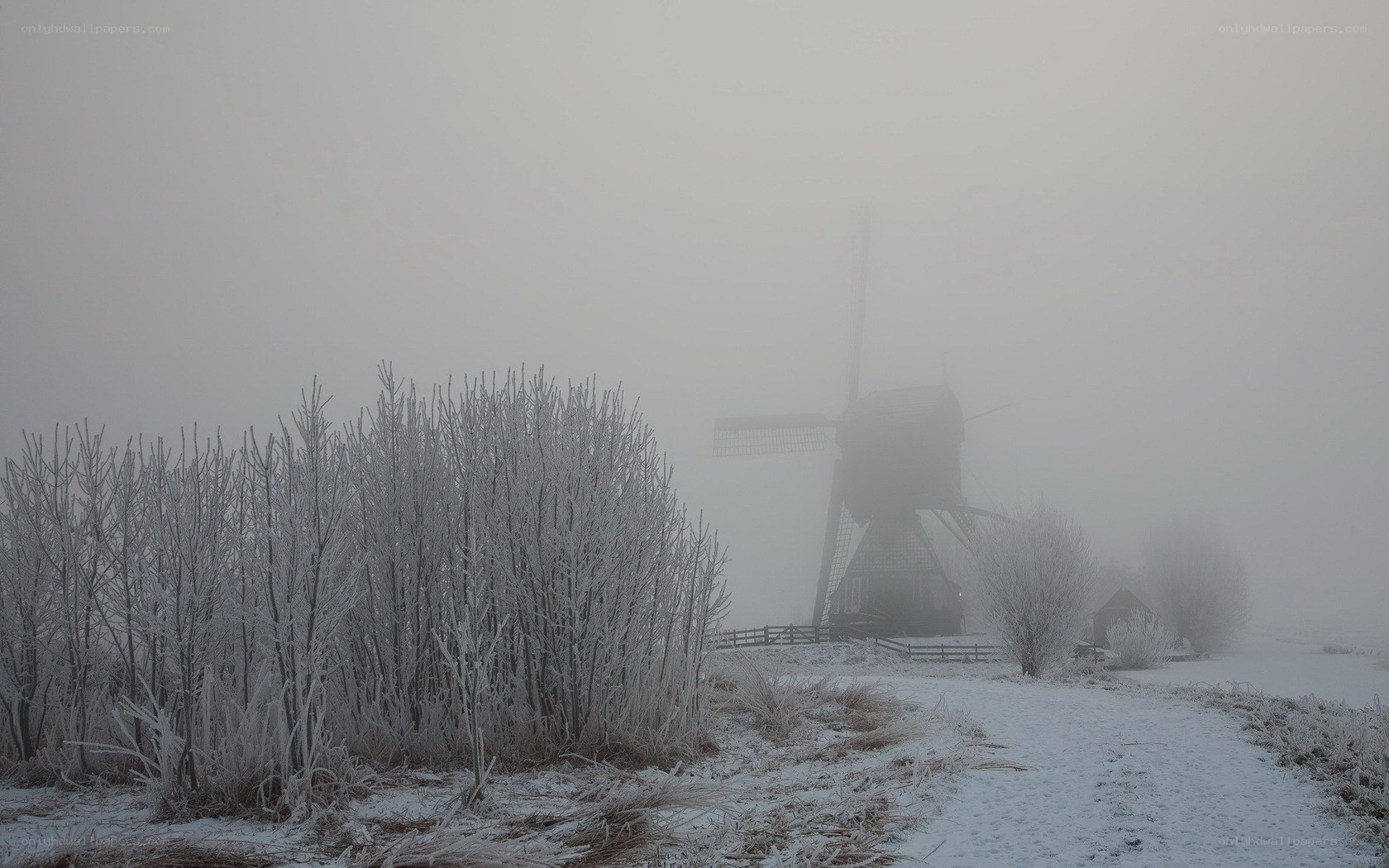Frosty windmill in fog