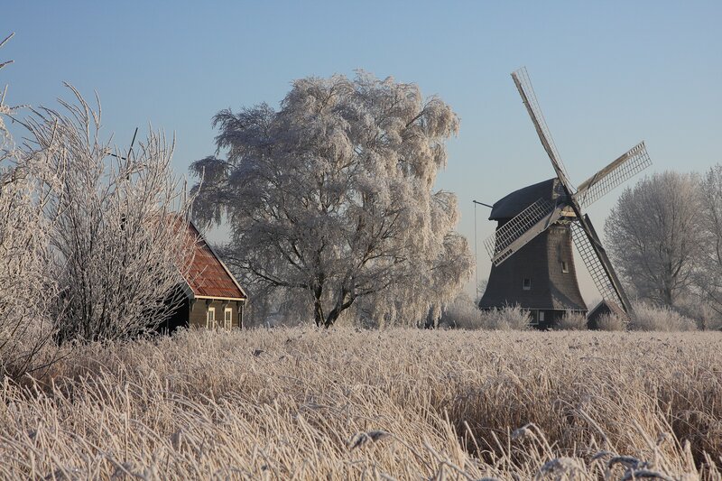 Frosty windmill landscape