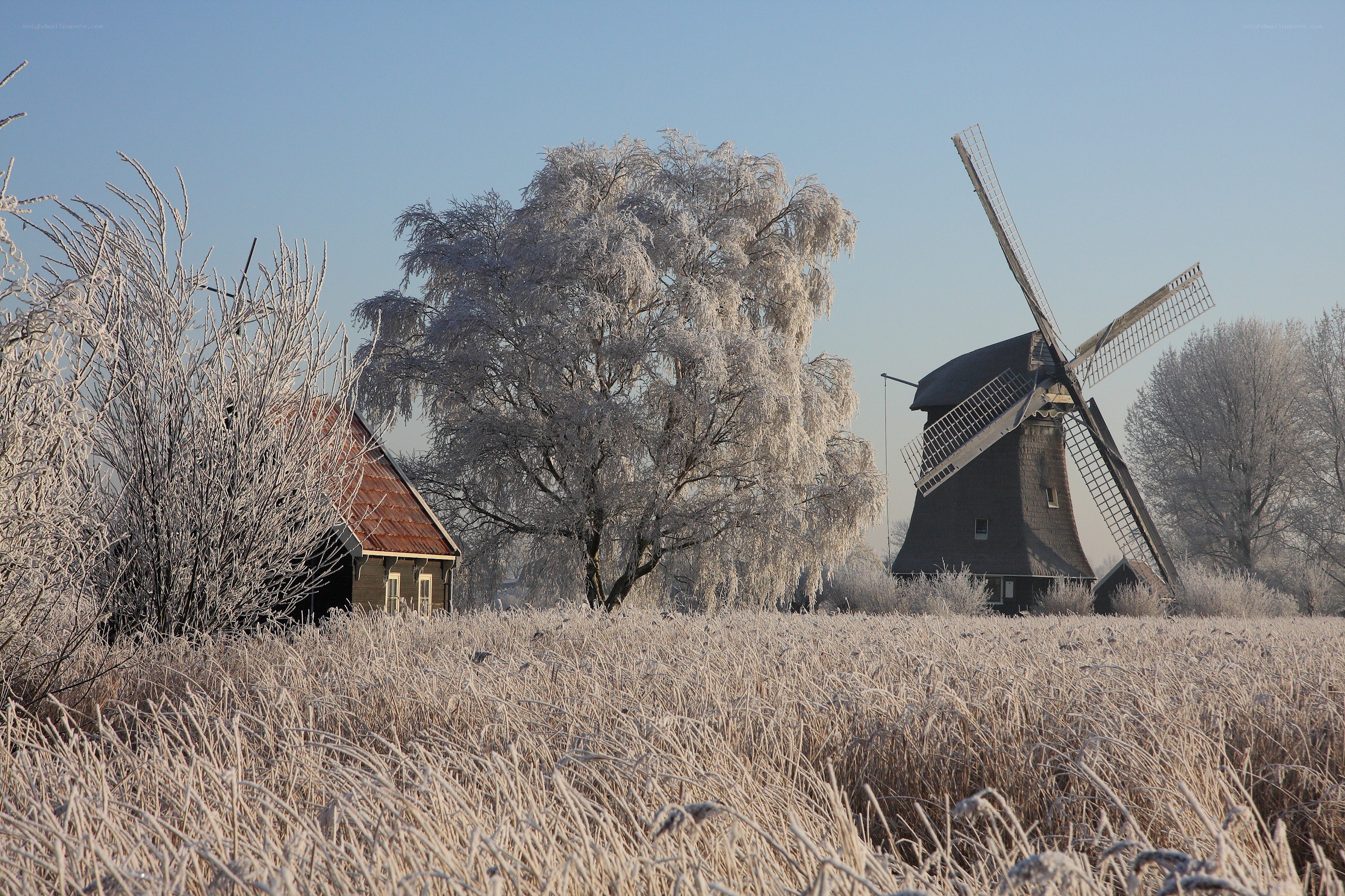 Frosty windmill landscape
