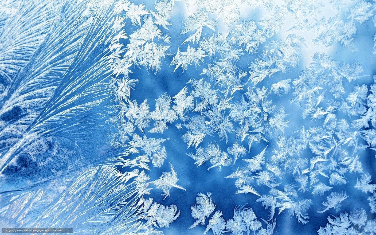 frosty window patterns