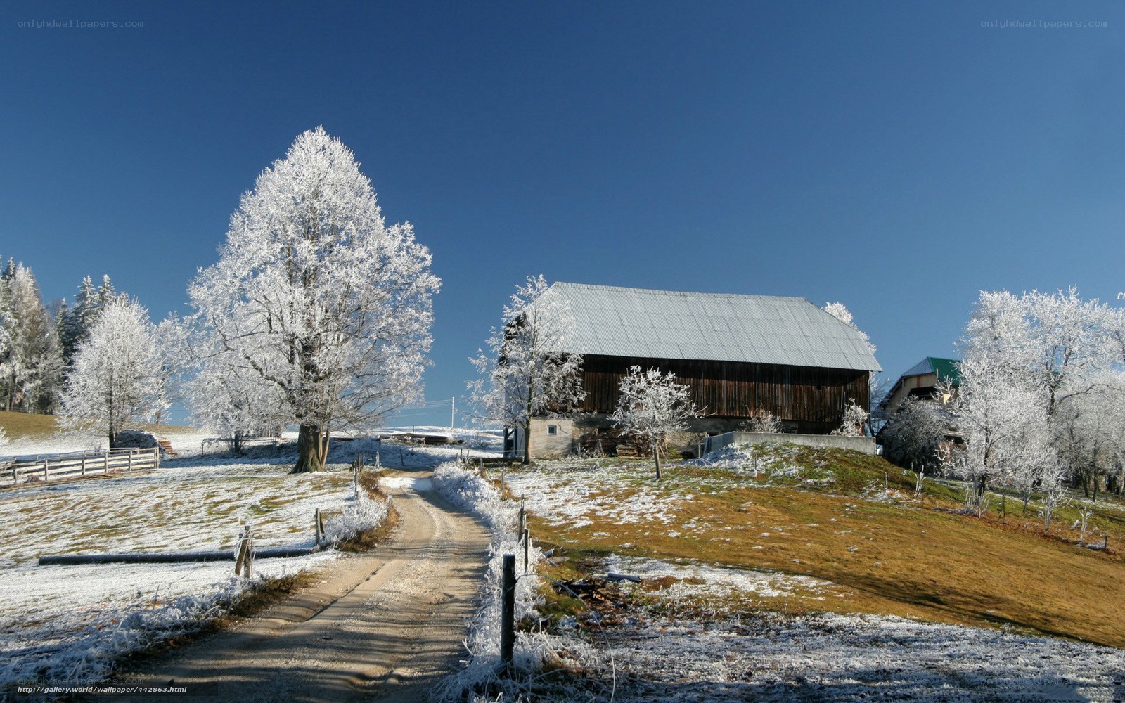 Frosty winter farm scene