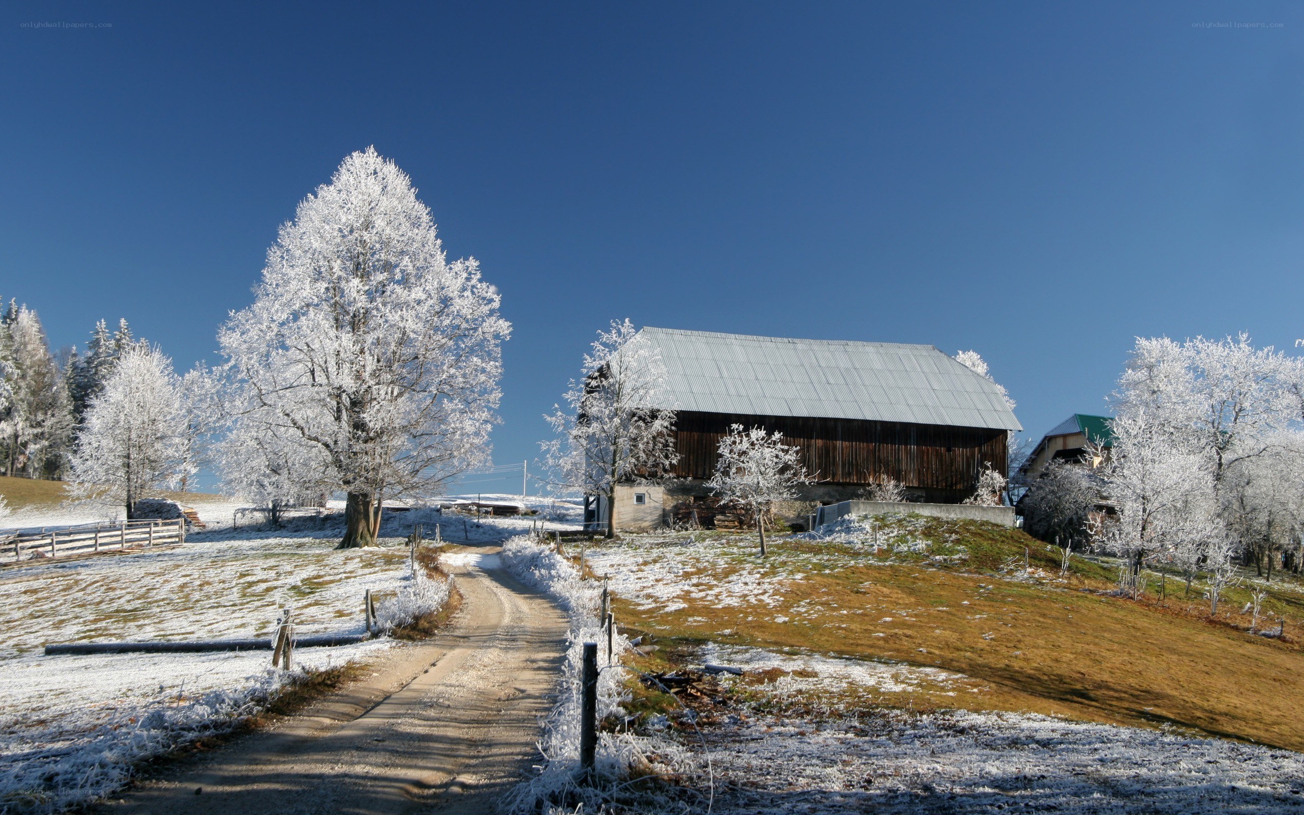 Frosty winter farm scene
