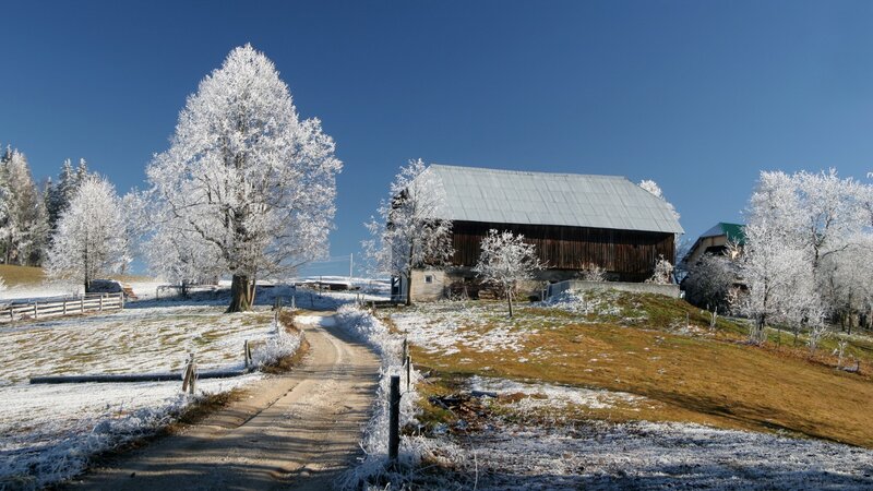 Frosty winter farm scene