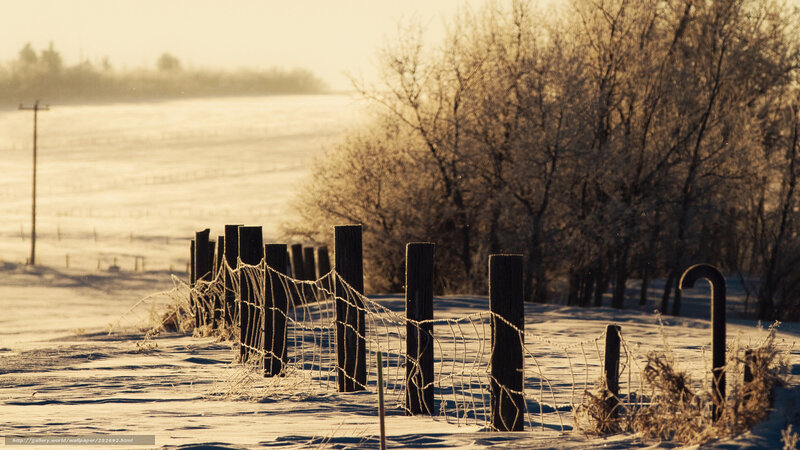 Frosty winter fence line
