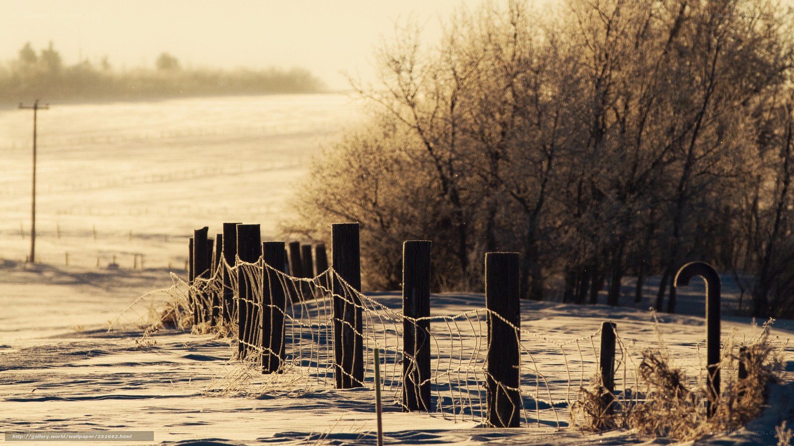 Frosty winter fence line