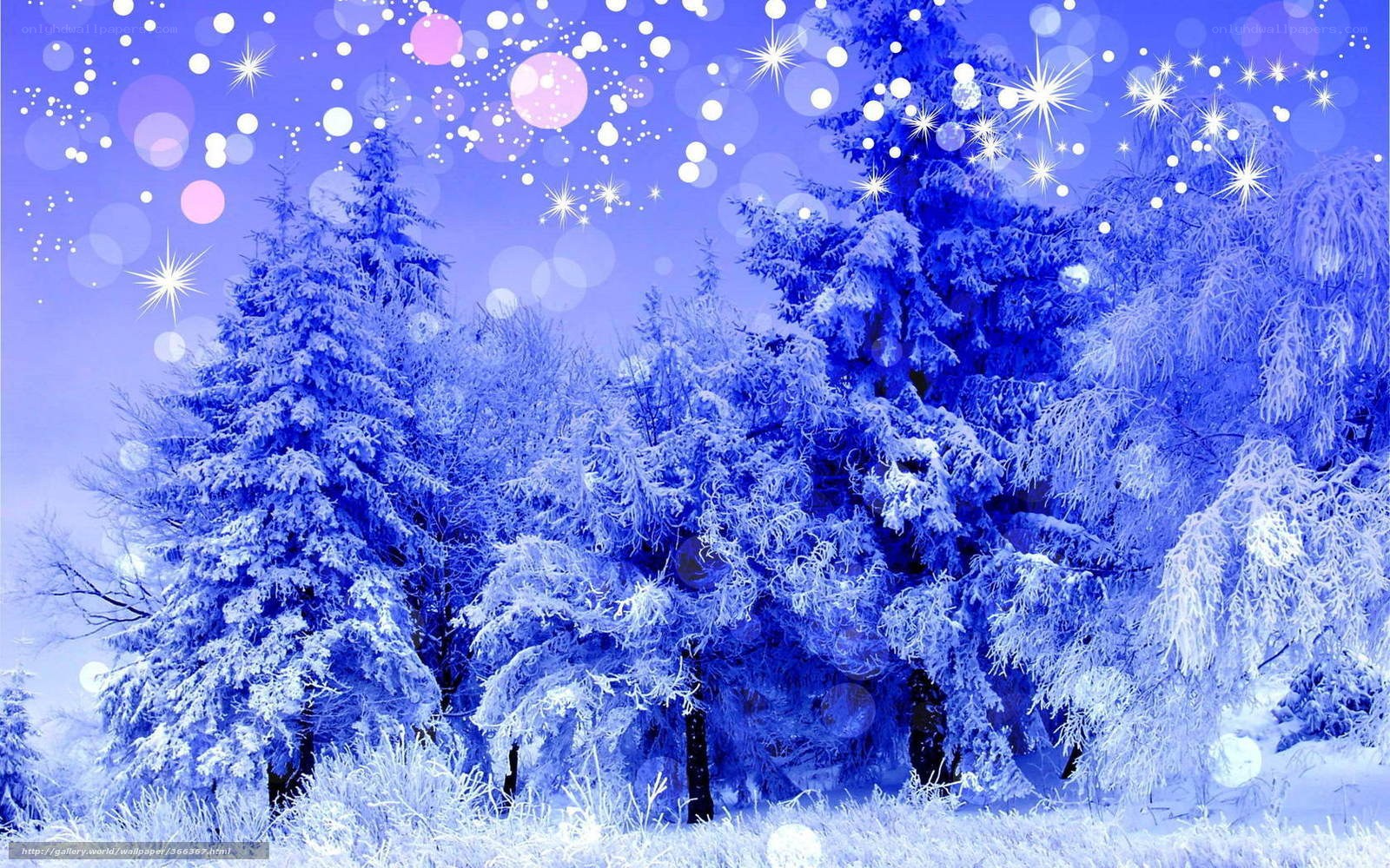 frosty winter forest scene