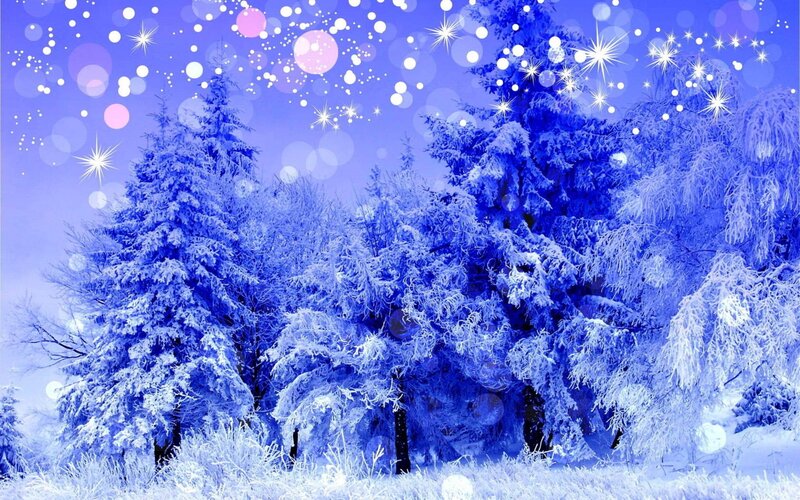 frosty winter forest scene