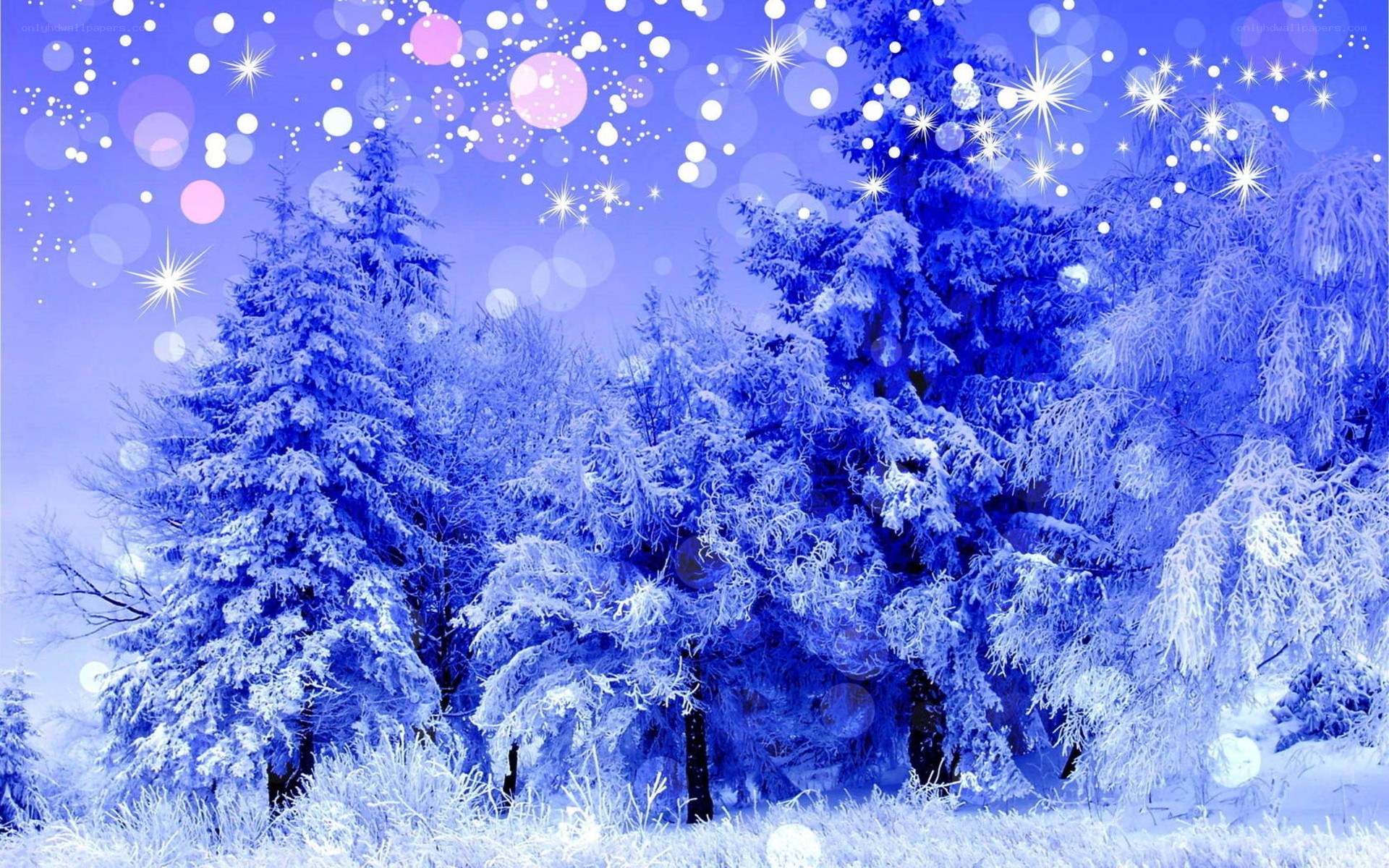 frosty winter forest scene