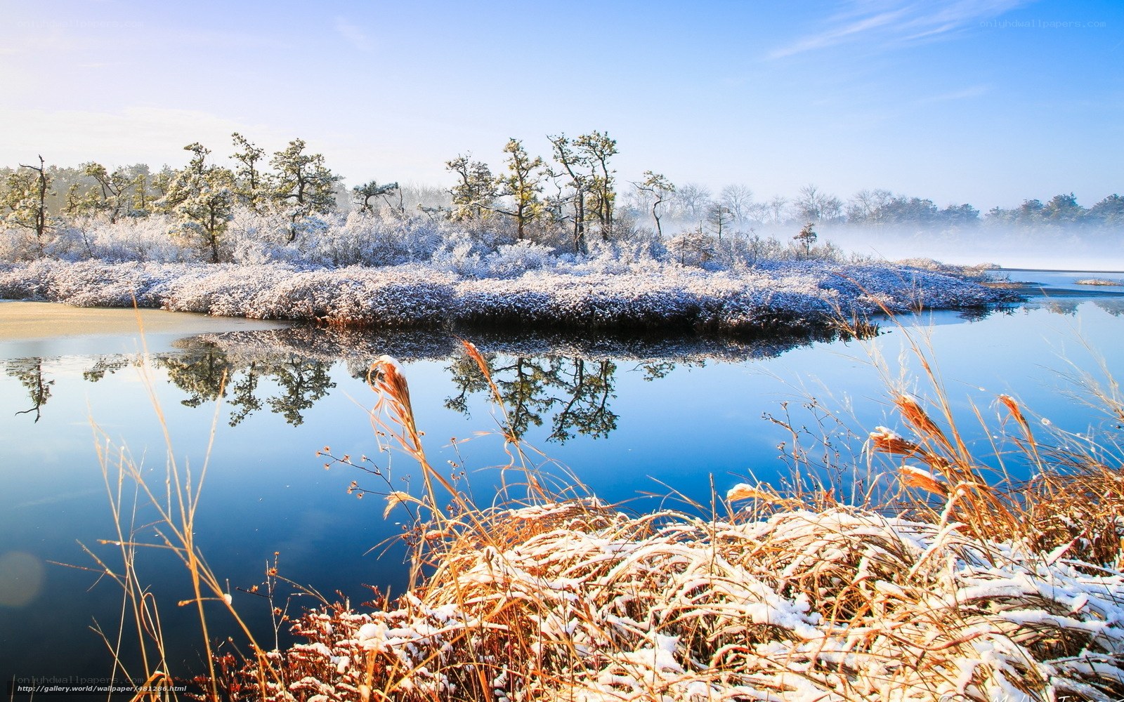 Frosty winter lake landscape