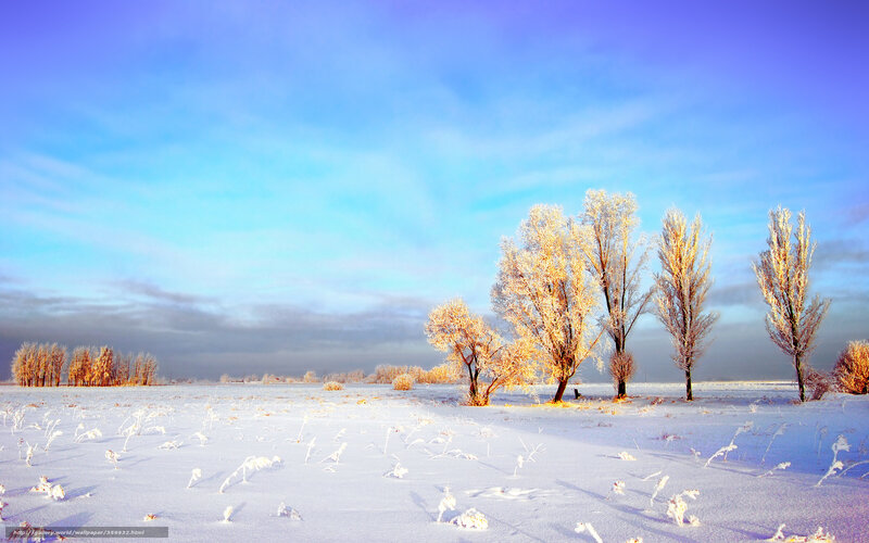 Frosty winter landscape