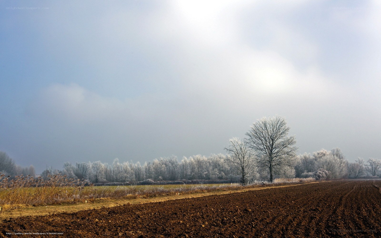 Frosty winter landscape
