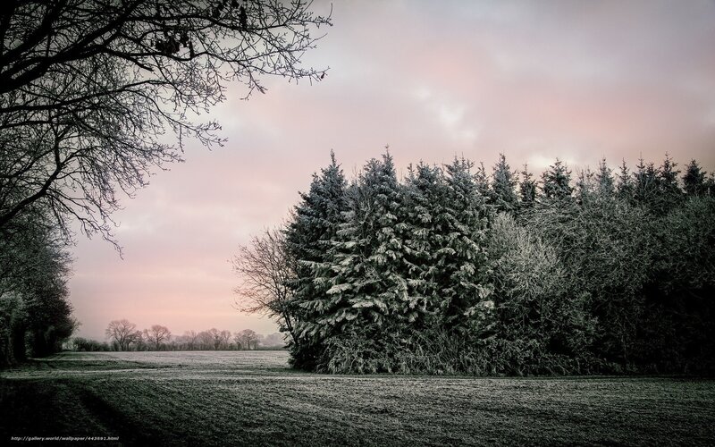 Frosty winter landscape