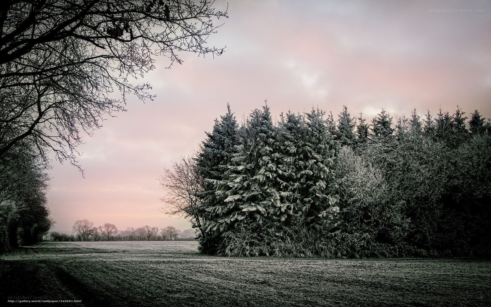 Frosty winter landscape