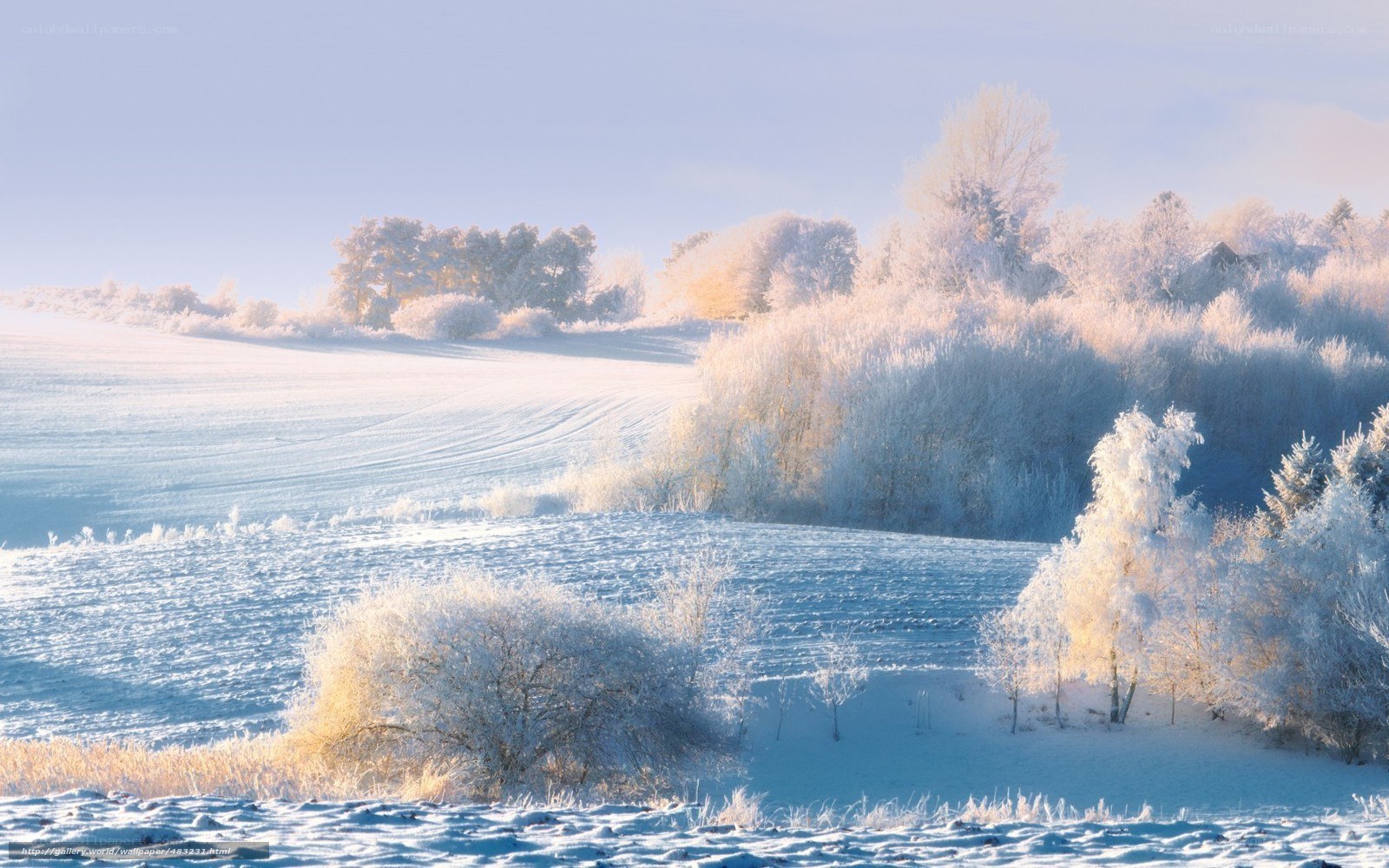 Frosty winter landscape