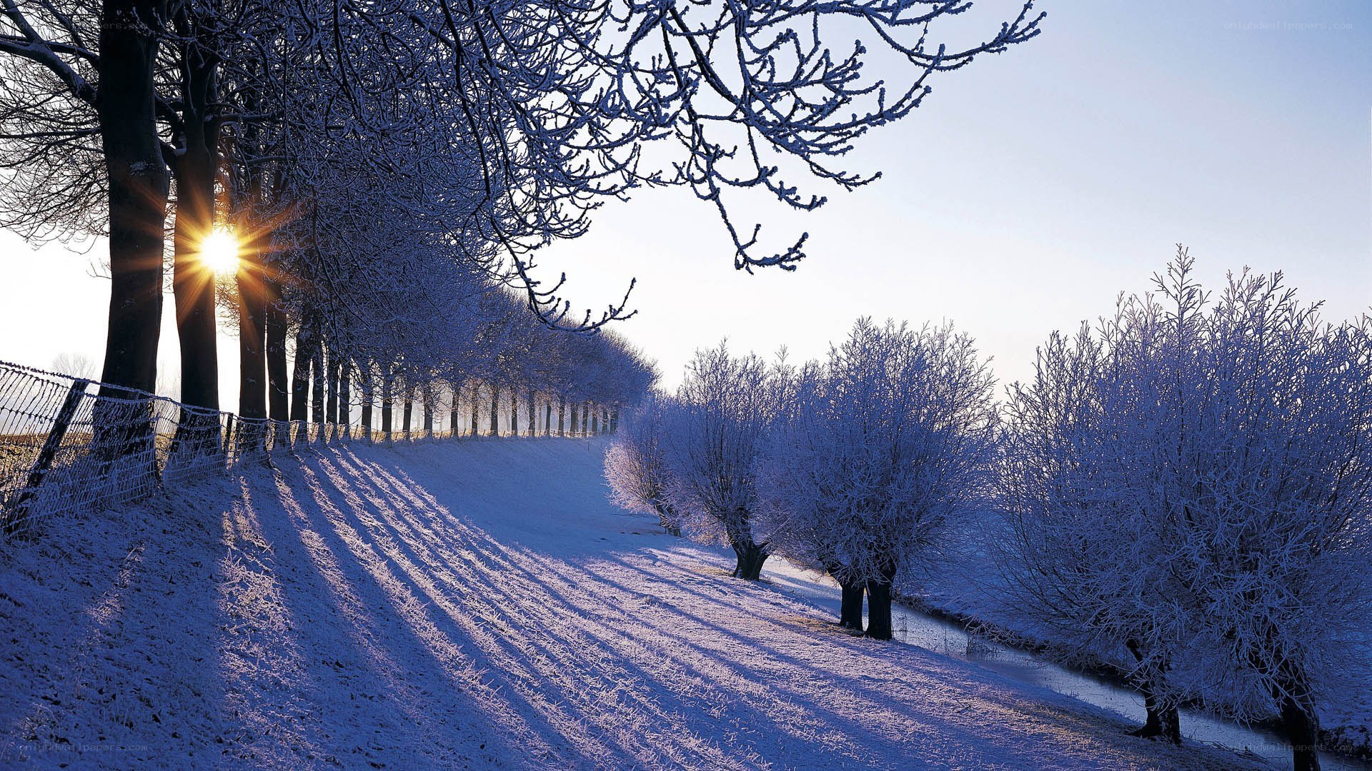 frosty winter landscape