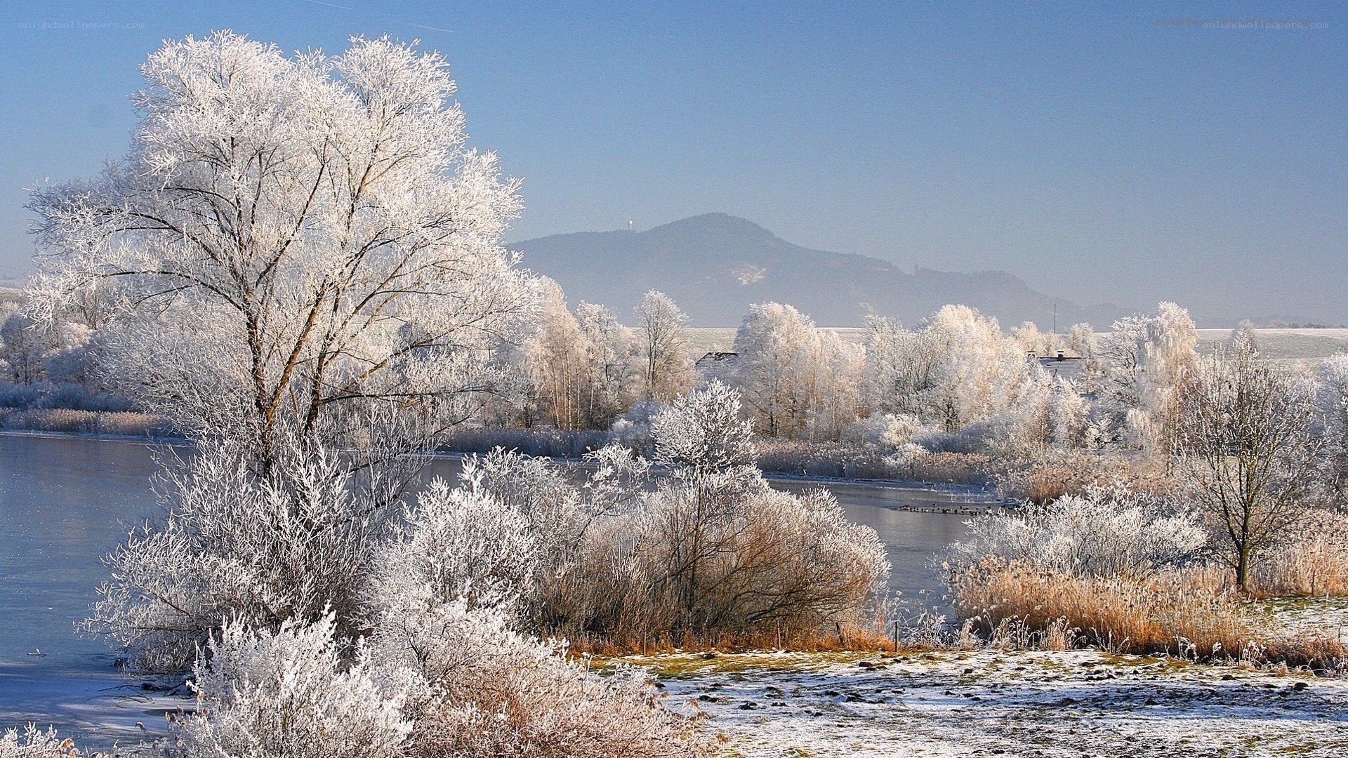 Frosty winter landscape