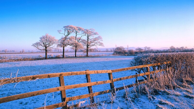 frosty winter landscape