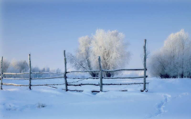 Frosty winter landscape