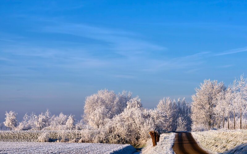 Frosty winter landscape