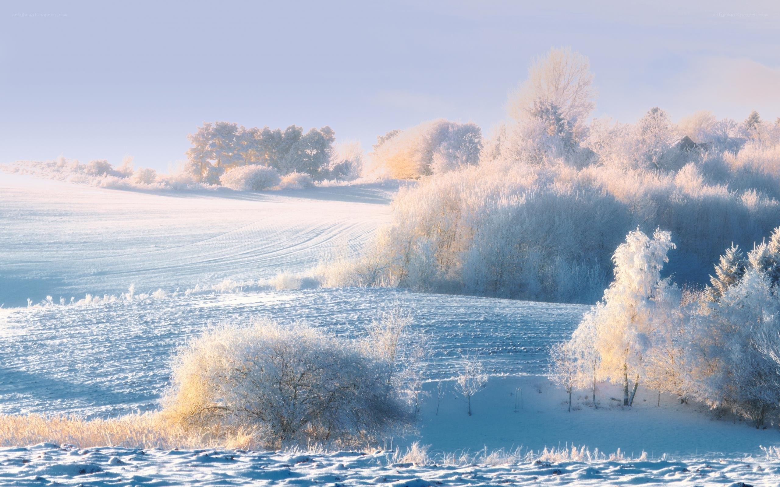 Frosty winter landscape