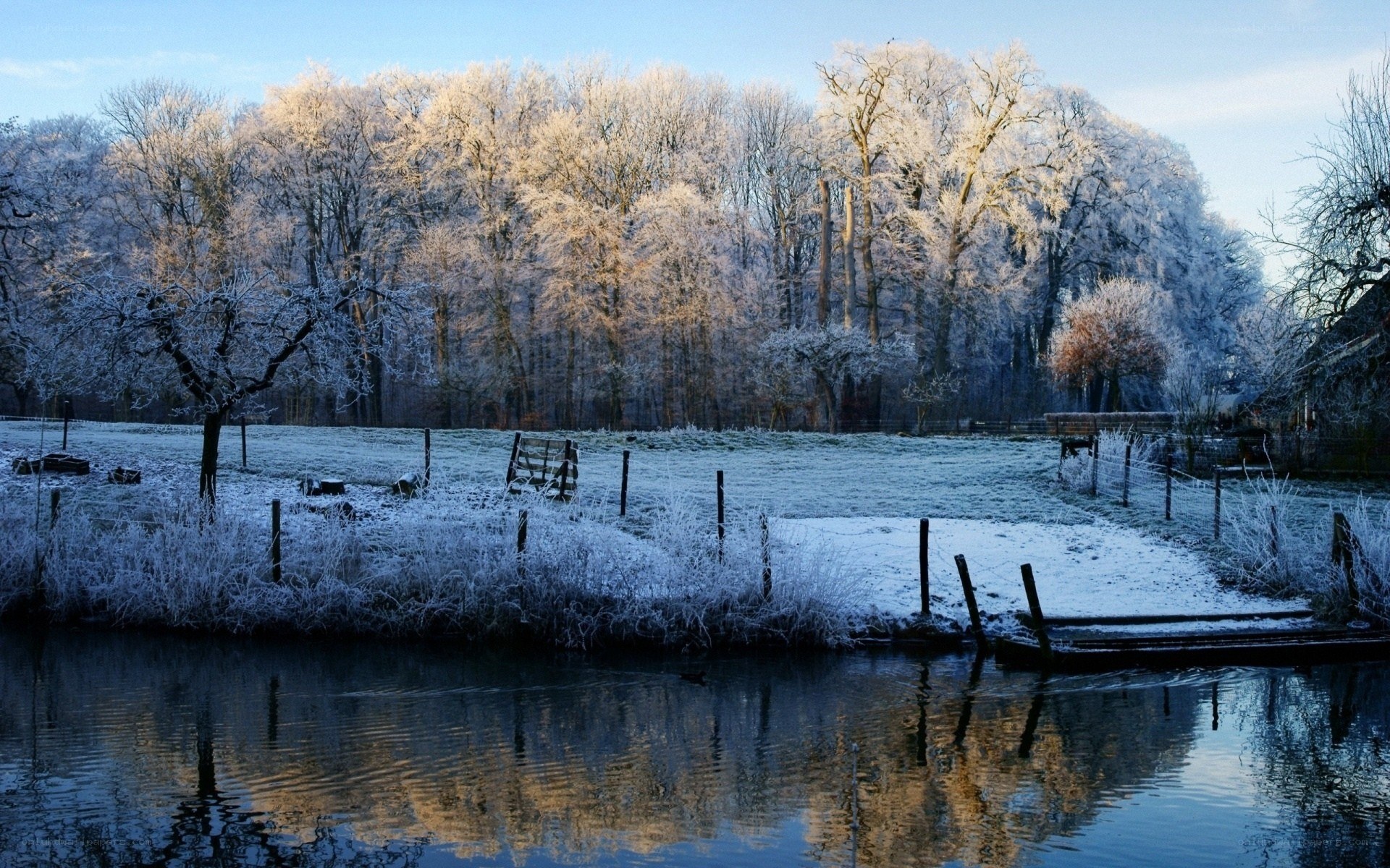 frosty winter landscape