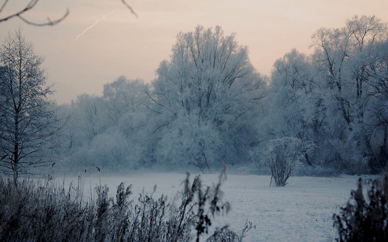 frosty winter landscape