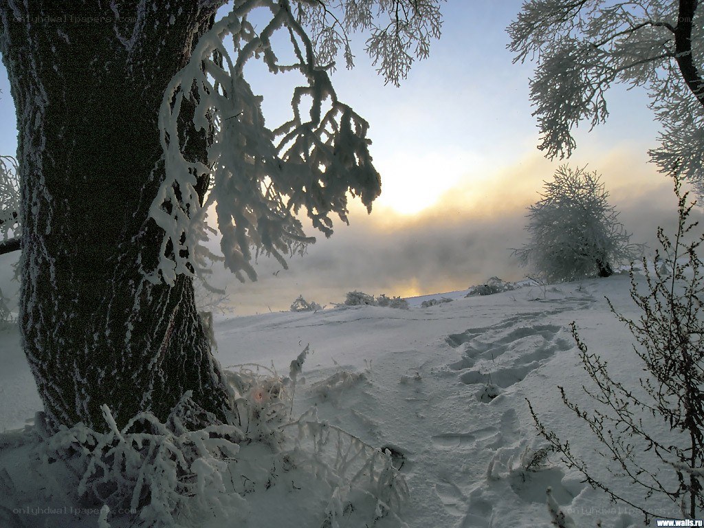 frosty winter landscape