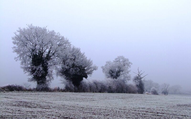 Frosty winter landscape