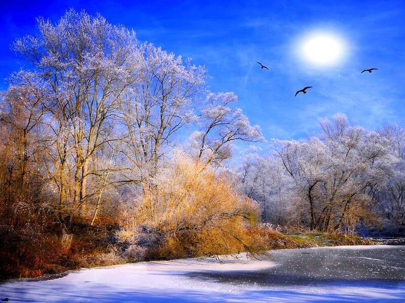 Frosty winter landscape