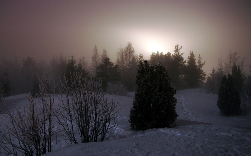 Frosty winter landscape at dawn