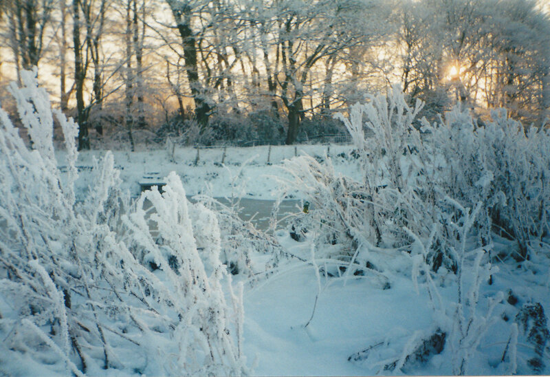 Frosty winter landscape at sunrise