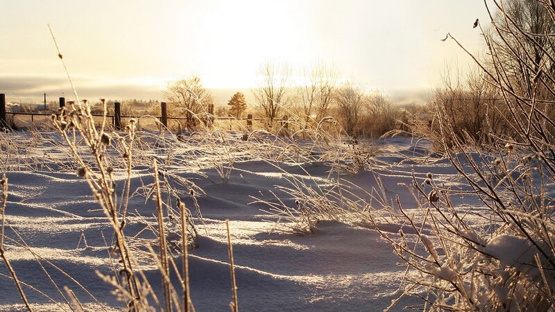 Frosty winter landscape at sunrise
