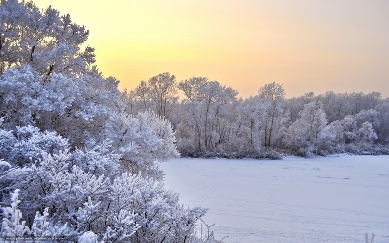 frosty winter landscape at sunset