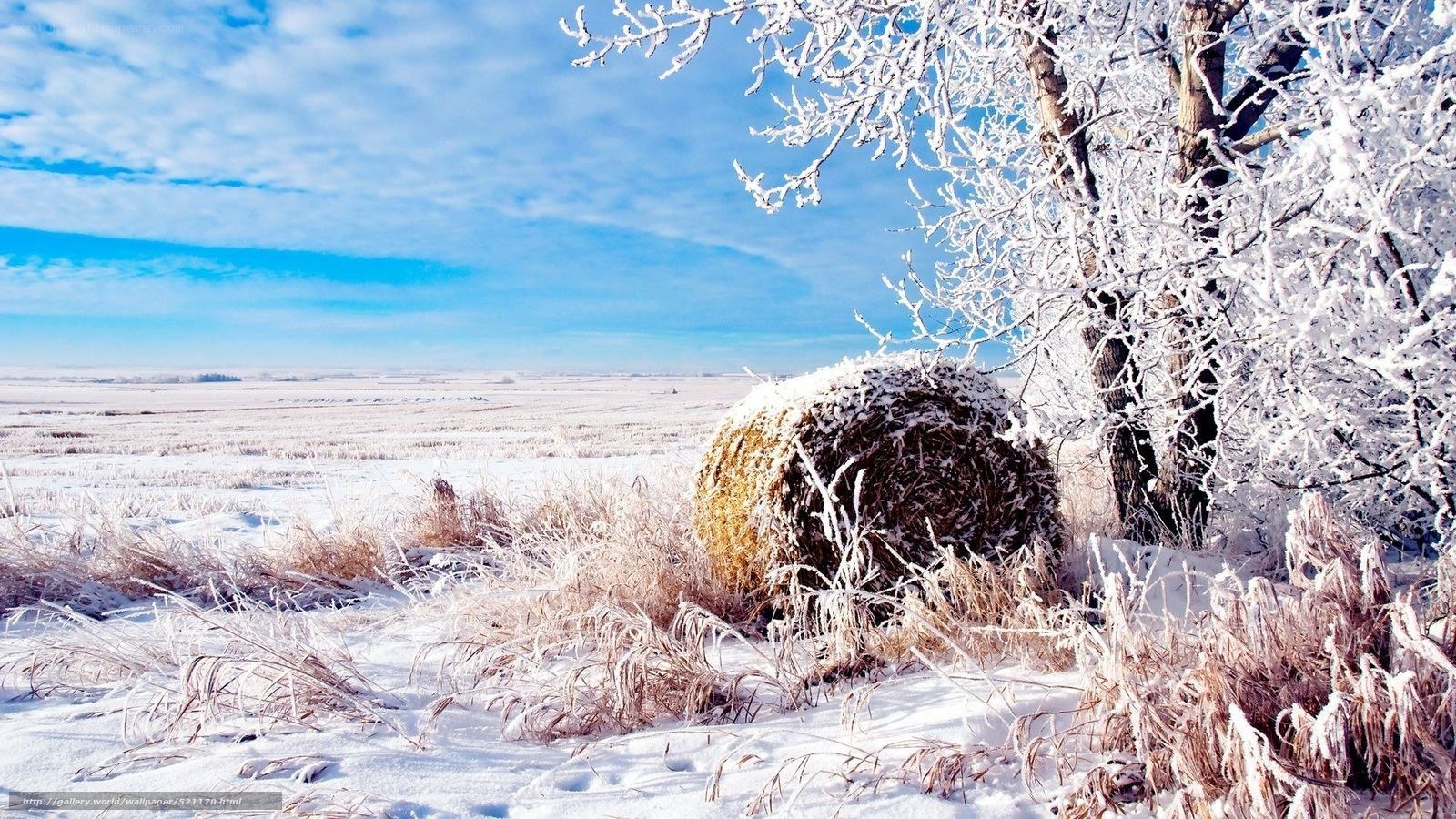 Frosty winter landscape with hay bale