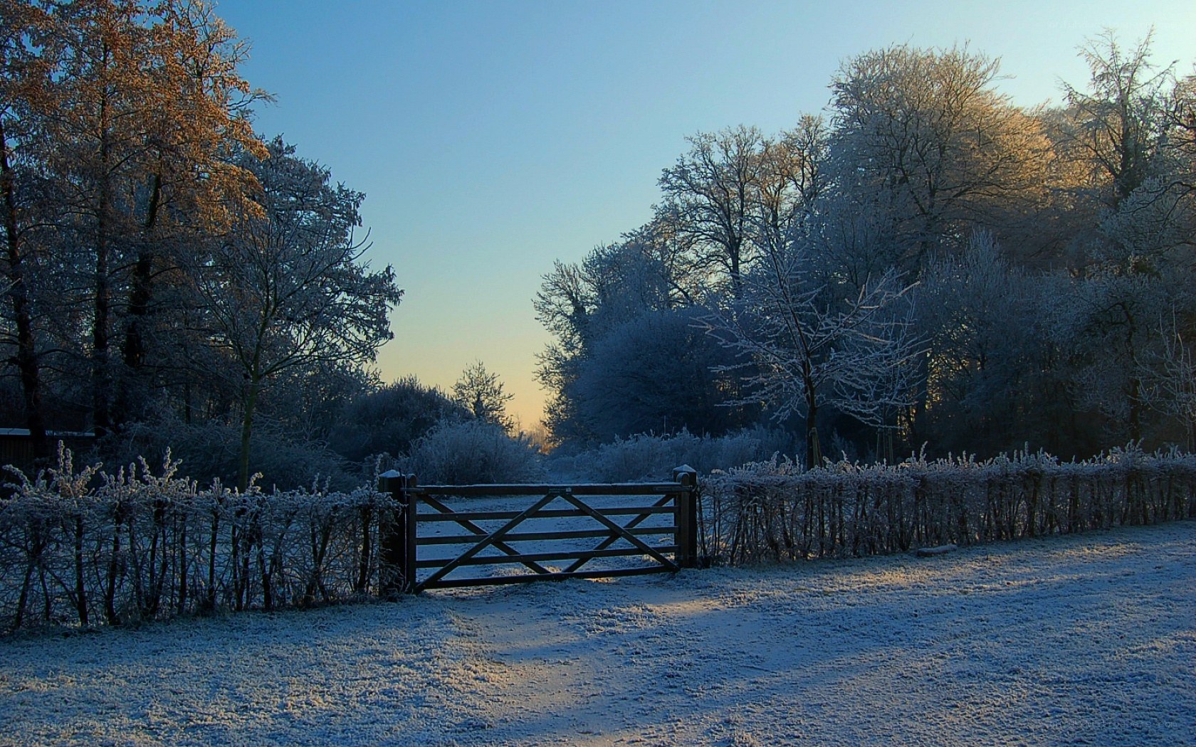 frosty winter morning