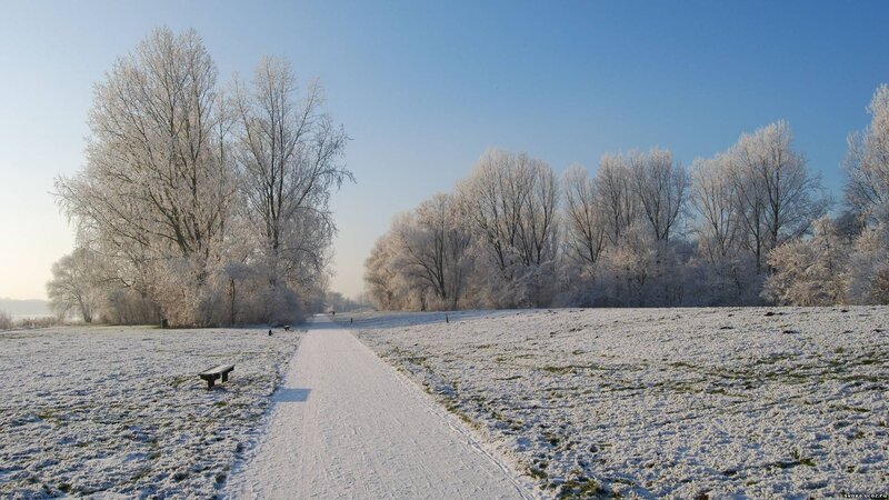 frosty winter path